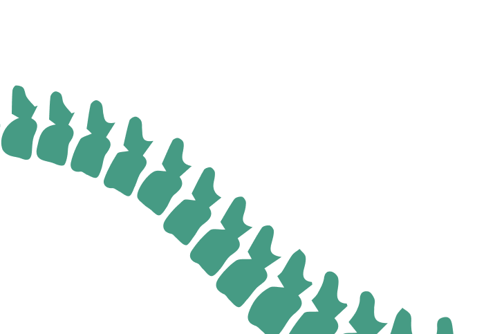 vertebral